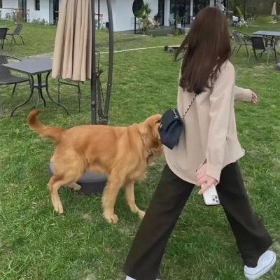 十三妹粤语